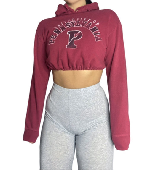 University of Pennsylvania Reworked Crop Hoodie